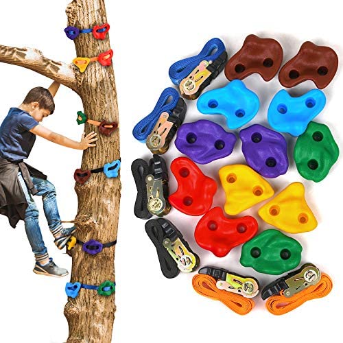 HAPPY MOTTE Tree Rock Climbing Holds for Kids, with 6pcs 10ft Ratchet Straps for Warrior Obstacle Course Outdoor Playground Backyard Accessories for Tree Climbing (12holds+6ratchets)