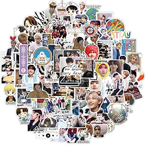 100pcs Cute Stray Kids Stickers, Kpop Singer Stickers for Teens Adults Phone Laptop Journal Water Bottles Skatebord Car Luggage Guitar