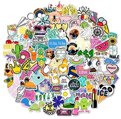 Waterproof Vinyl Sticker Pack for Water Bottle or Hydro Flask 100 Stickers and Decals for Skateboard Laptop and Car Stickers for Adults Teens Girls and Kids (Style Five)