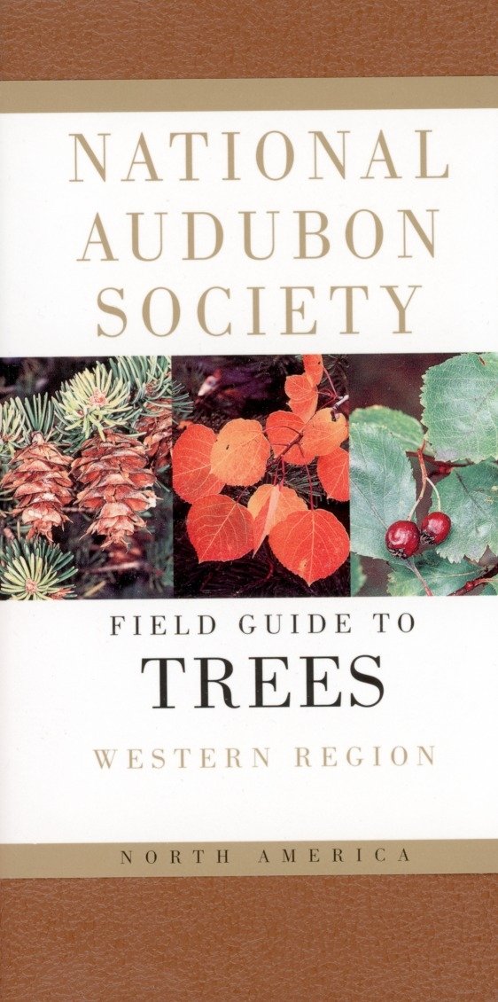 National Audubon Society Field Guide to North American Trees--W: Western Region (National Audubon Society Field Guides)